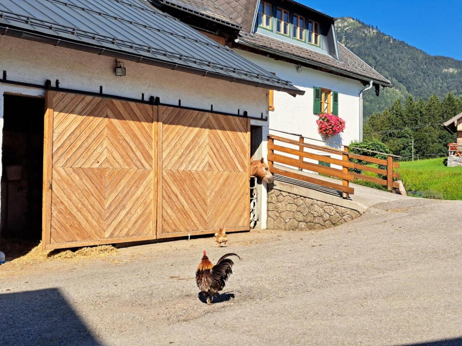 Ferienhütte Wolfgangsee Saint Wolfgang Exterior foto